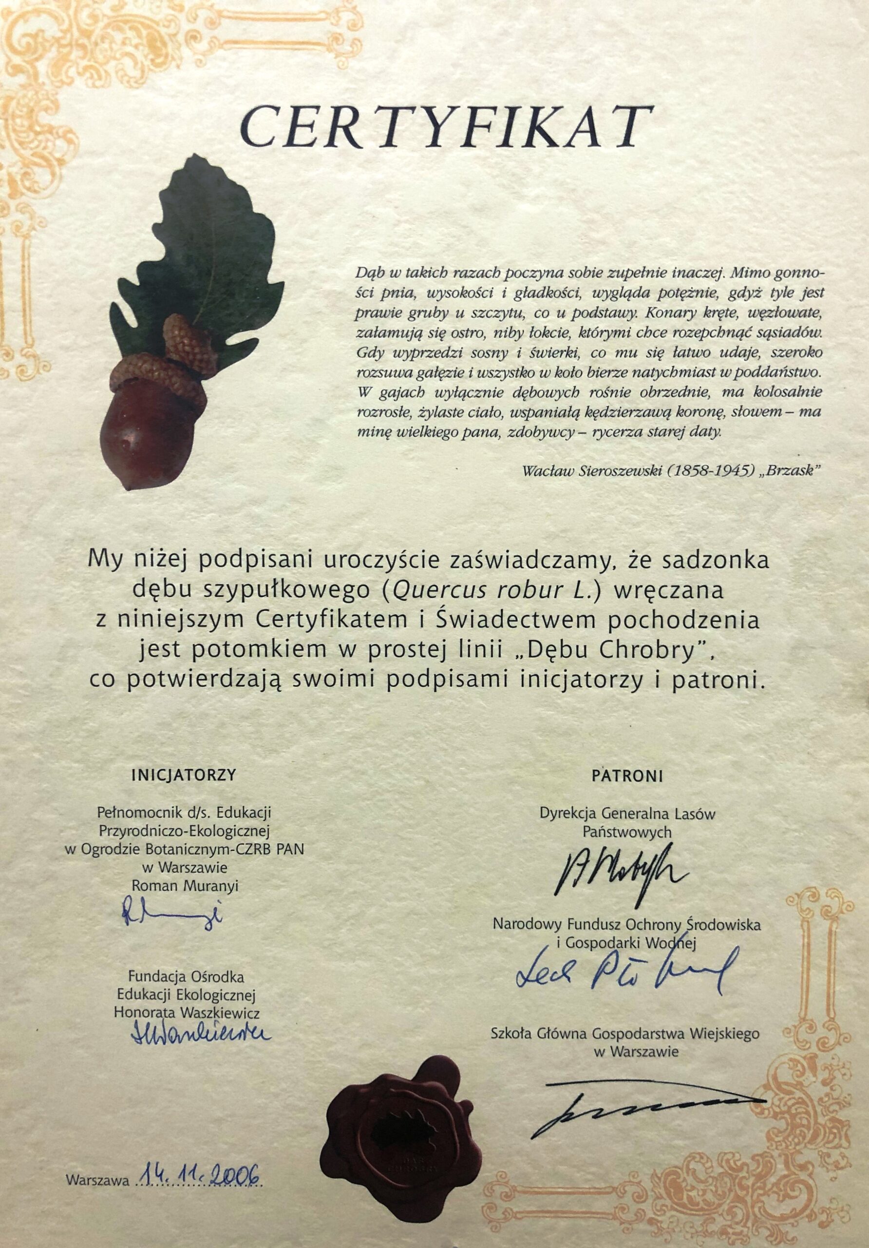Certyfikat autentyczności posadzonego dębu Kujawiak - skan